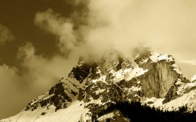 dth_design-im-angesicht_1050x700px