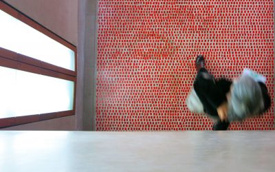 dth_detailverlust_1050x700px