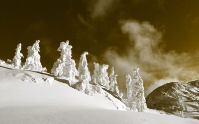 thign_Stillstand-als-Prozess_1050x700px