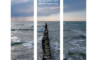 Daniel_Scheidgen_DAEAZ_Hoerbuch_Cover_1024x1024px